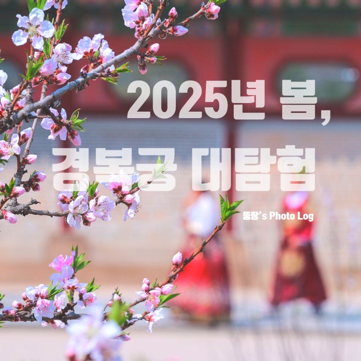  한복 입은 외국인과 꽃이 만발한 4월 경복궁 대탐험! 망원렌즈로 디테일까지 쏙쏙 담아봤어요!