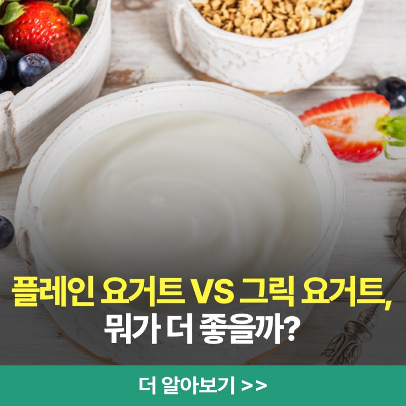 그릭 요거트 효능, 플레인 차이와 먹는 법