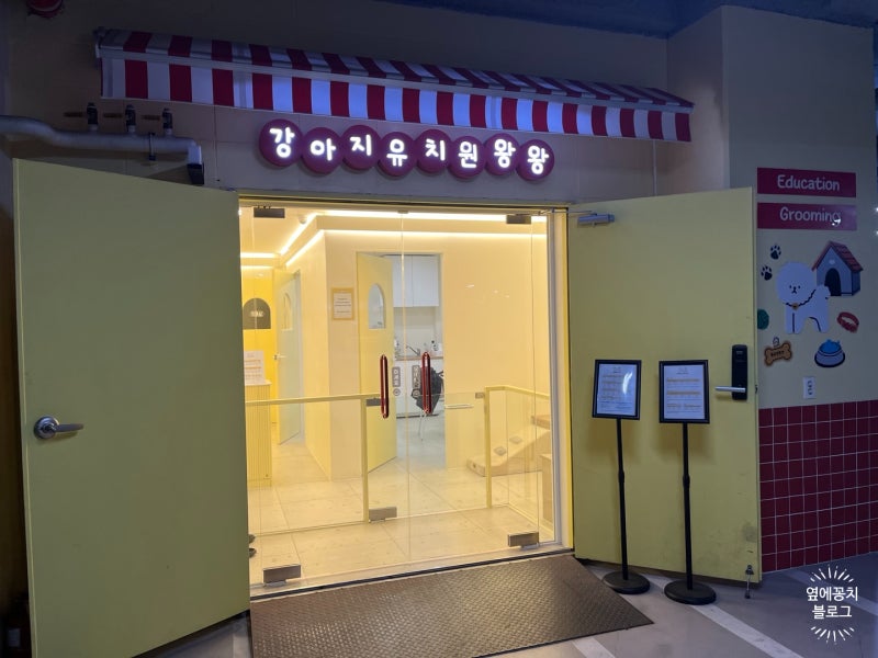 사진 5