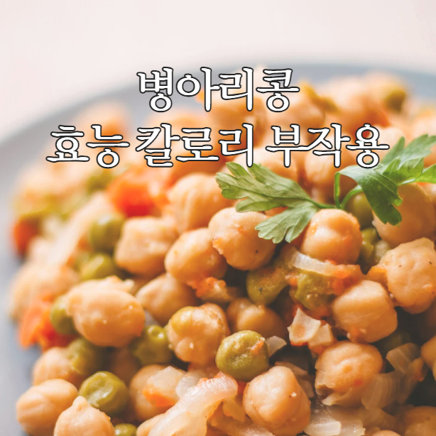  병아리콩 효능 칼로리와 부작용 주의사항