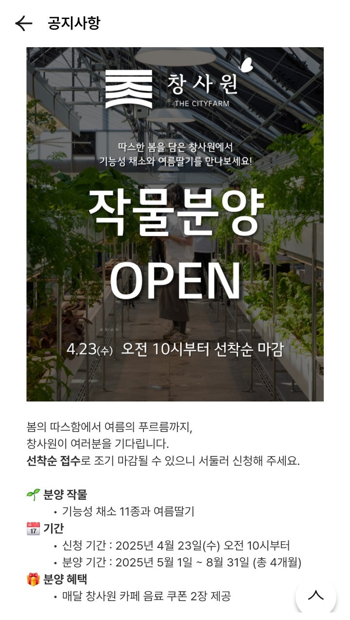 저속노화 도시텃밭 직접 키워먹는건 어때?