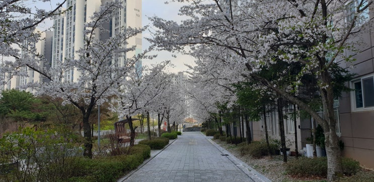완성, 서울 흔드는 <b>싱크홀</b> 공포, <b>대치동</b> 은마아파트 재건축