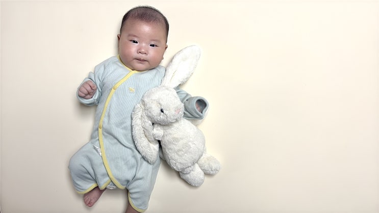  육아일기_이사준비, 쌍둥이 육아, 육아는 템빨