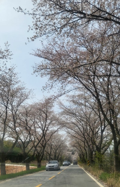 사진 2