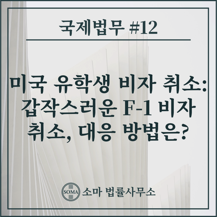  미국 유학생 비자 취소: 갑작스러운 F-1 비자 취소, 대응 방법은?