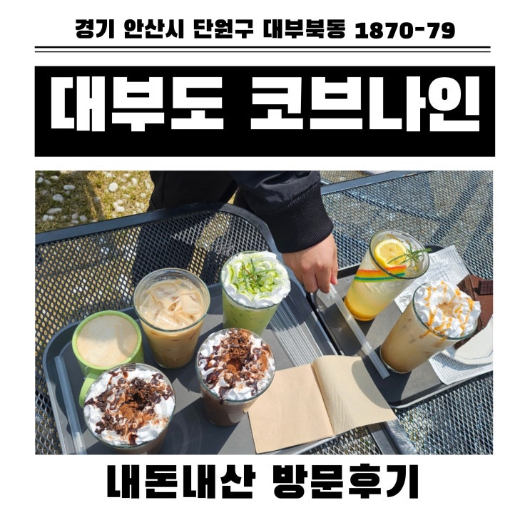  안산 대부도 반려동물 동반 가능한 카페 코브나인 내돈내산 방문후기