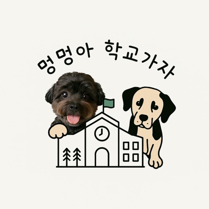 애견유치원 멍멍아학교가자 대명점
