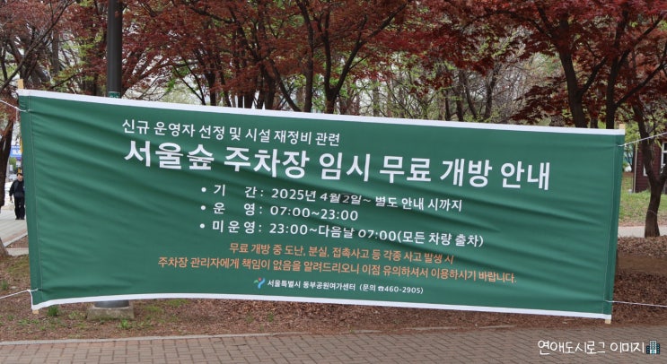  서울가볼만한곳 서울숲에서 인생 사진 찍는 곳 ㅣ 주차장 꿀팁 정보 공유