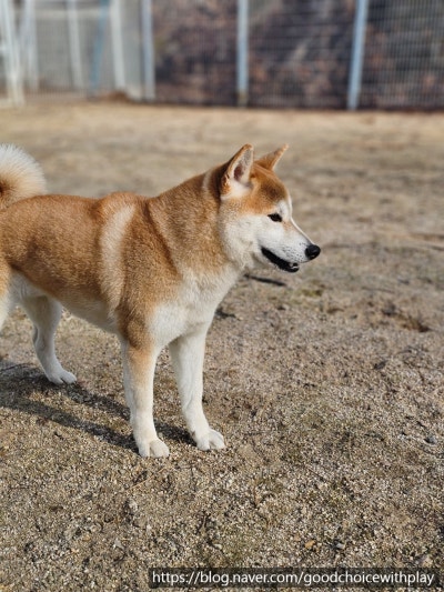 사진 8