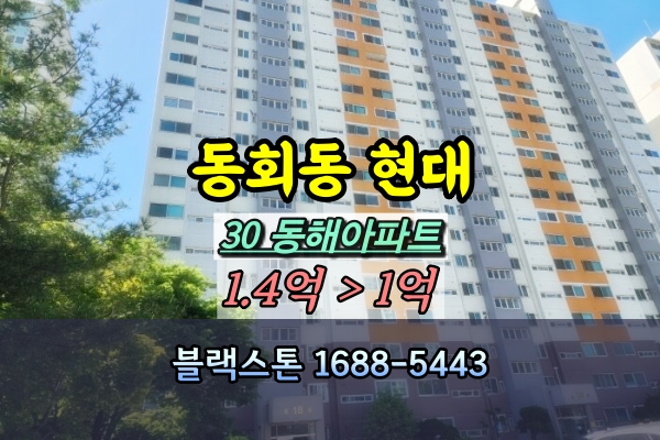  동해대동,동회현대,북삼코아루 아파트 경매 30평 18동 [2024타경756]