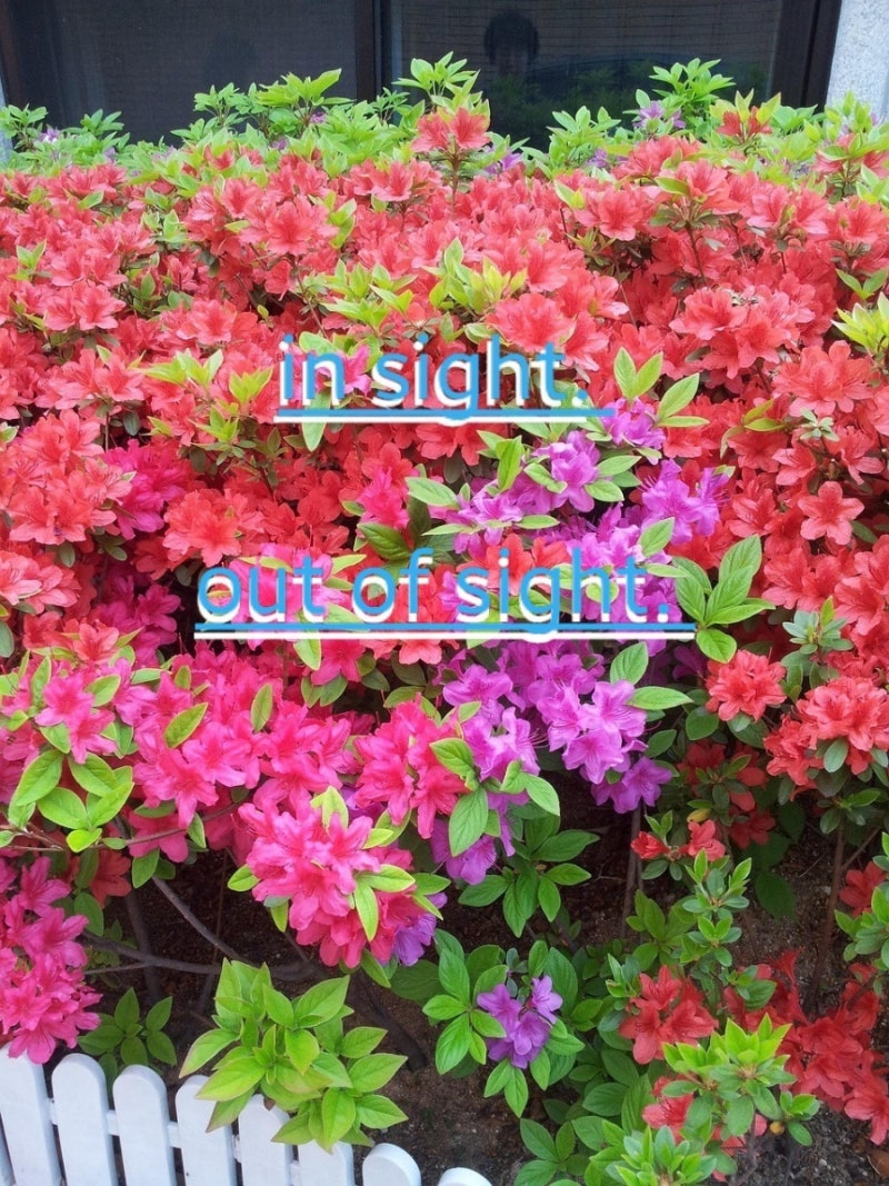 필수 관용구: in sight. & out of sight. 뜻과 예문