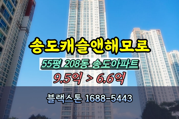  송도캐슬앤해모로 경매 55A평 208동 [2024타경548305]
