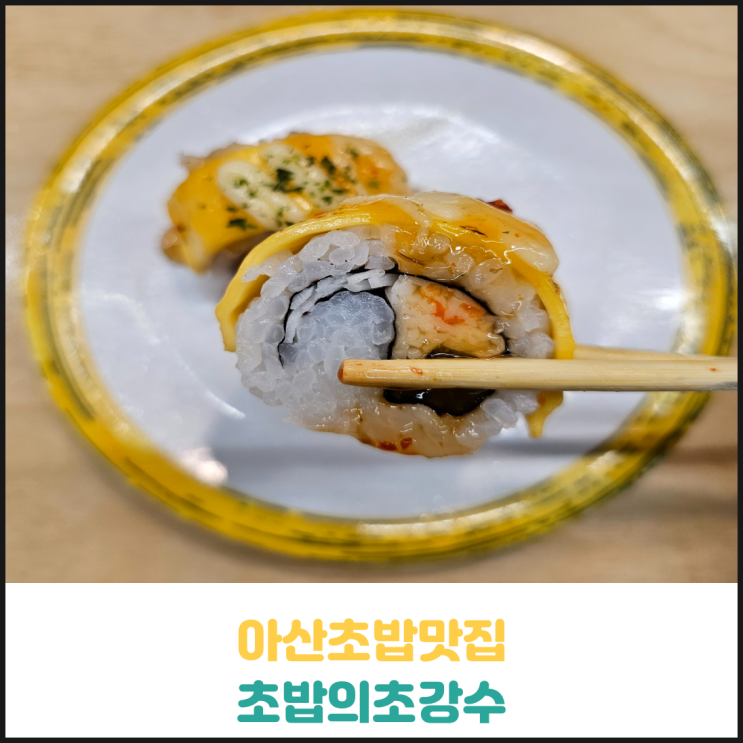 아산초밥맛집 초밥의초강수 후기 아산초밥맛집 초밥의초강수 후기