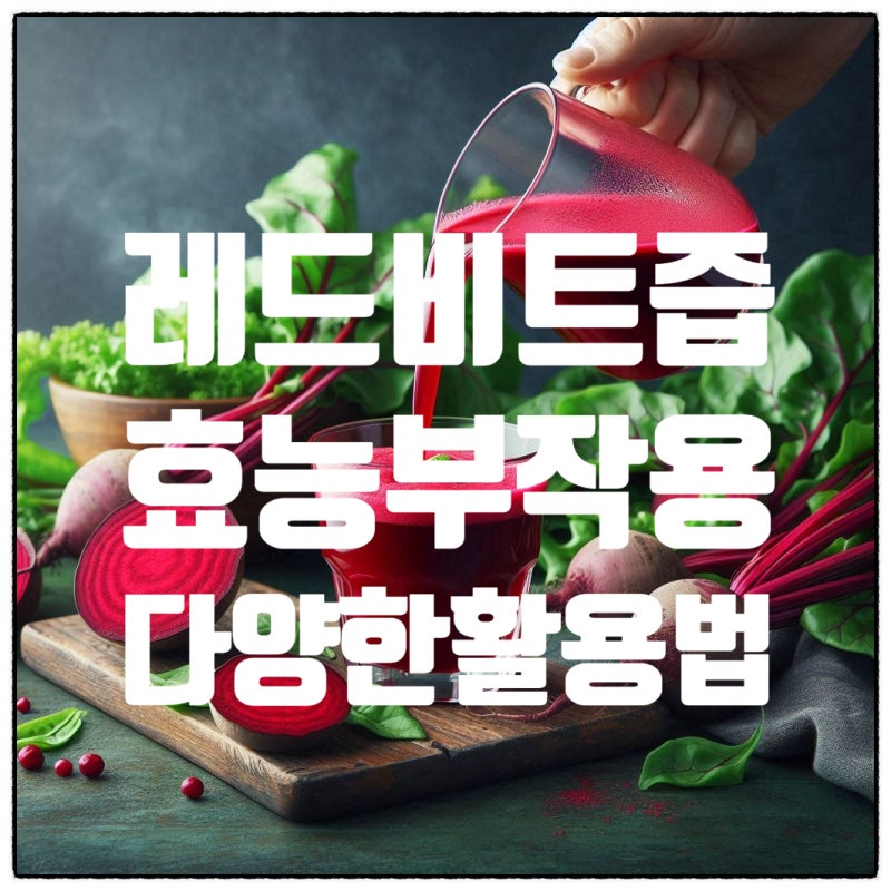 레드비트즙효능 부작용 활용법