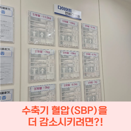  구미 고혈압 다이어트, 수축기 혈압을 약 5~20정도 감소시키려면?! 감비환과 지방분해전침 소개