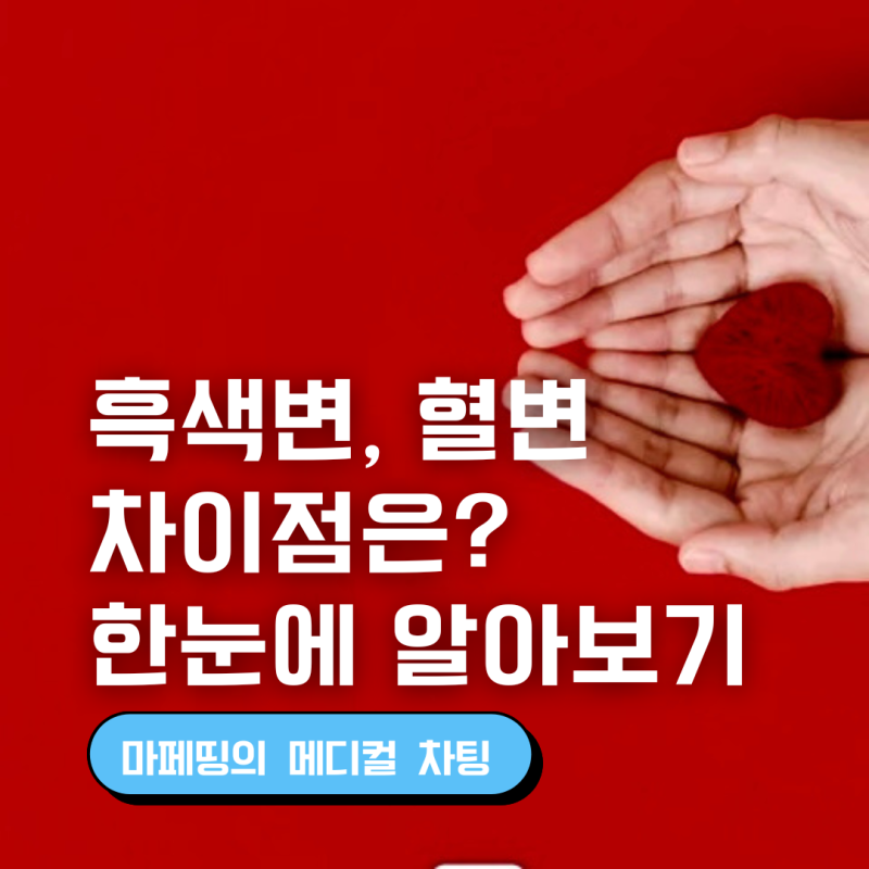 흑색변 혈변 원인과 증상 색 차이 구분하기