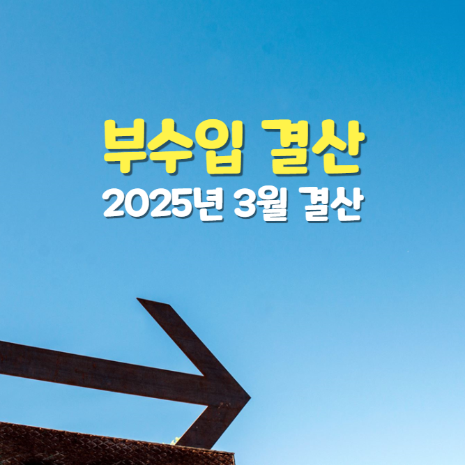  2025년 3월 직장인 부수입 결산 : 부수입으로 월 생활비 벌기 목표로 달려달려~!