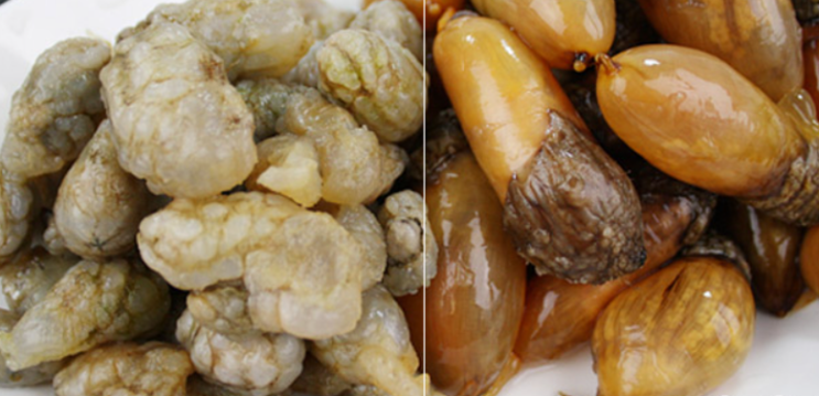  Let me introduce you about funny food ingredients of Korea.