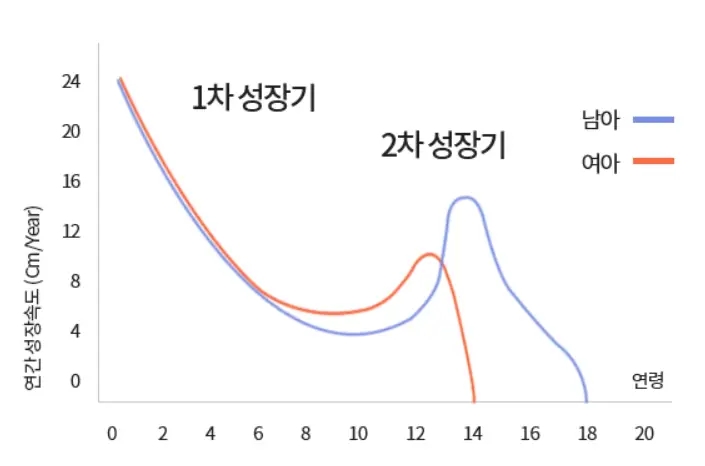 초6 평균키 우리 아이는 어디쯤일까? | 표본통계