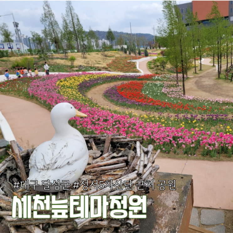 대구 근교 주말 나들이하기 좋은 곳  달성군 세천늪테마정원