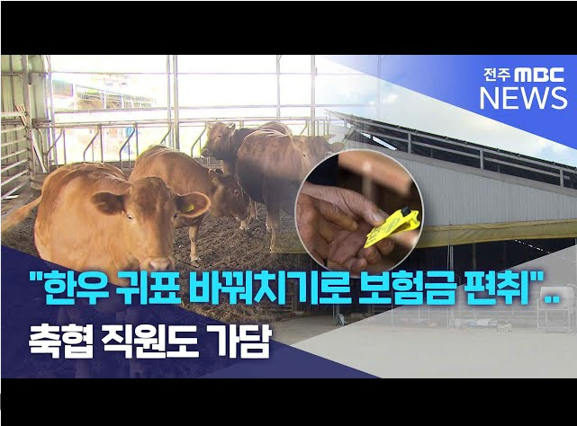  한우쇠고기 등급이 둔갑되는 택갈이 속임수! 신뢰를 되찾을 해외 해법은?