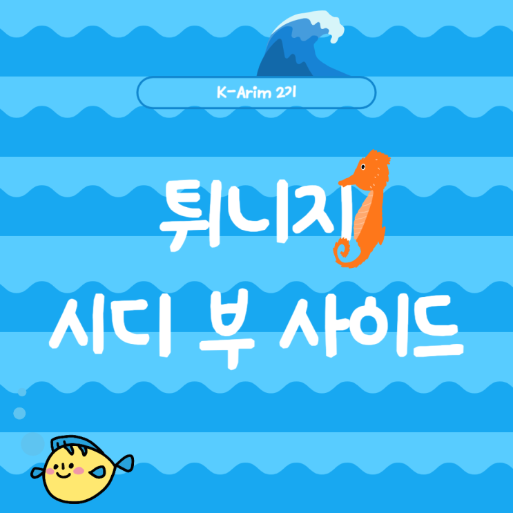  [K-Arim 2기]튀니지_시디부사이드