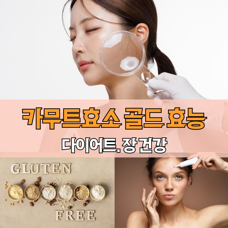 “카무트효소 골드 효능? 다이어트·장건강까지, 효과와 부작용 총정리!”