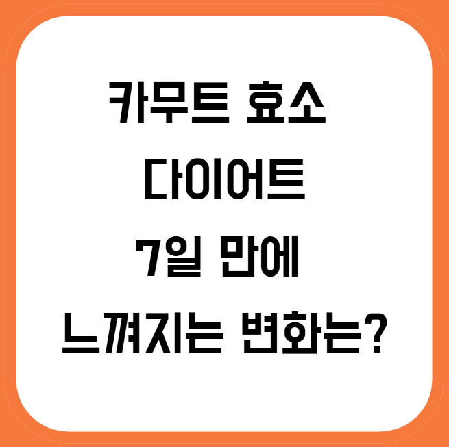 카무트 효소 다이어트, 7일 만에 느껴지는 변화는?