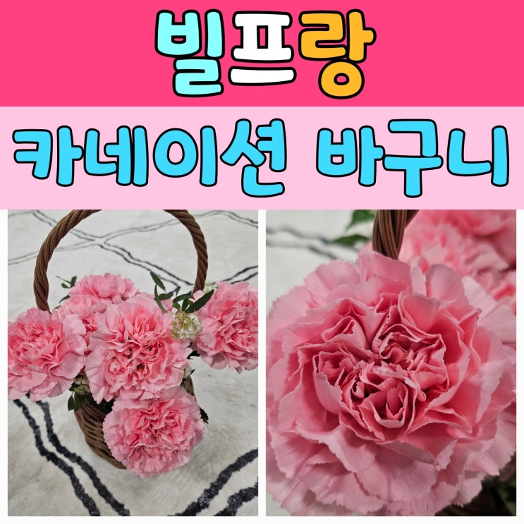  감성 가득한 선물, 어버이날꽃바구니는 '빌프랑'에서 준비했어요