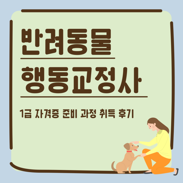  반려동물행동교정사 1급 자격증 준비 과정 취득 후기