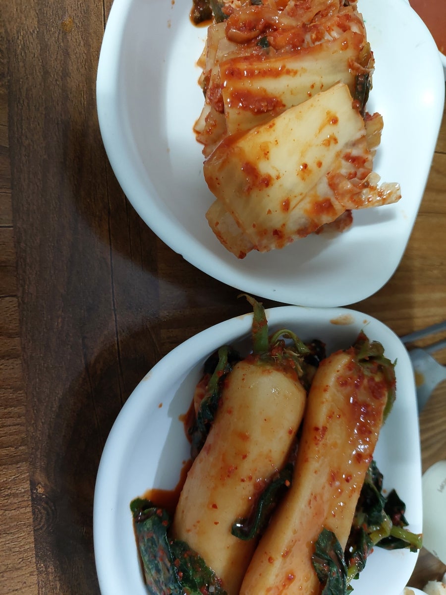 오징어나라 사진 4