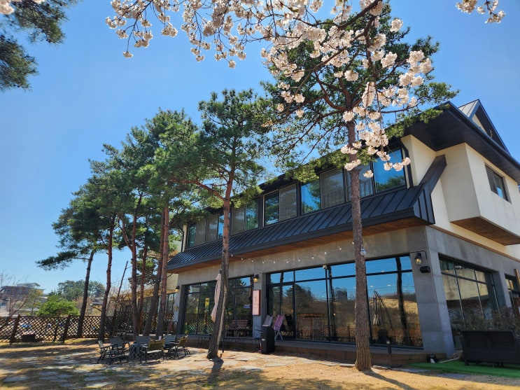  속초 아이랑 가기 좋은 카페 | 아쿠아숲 속초