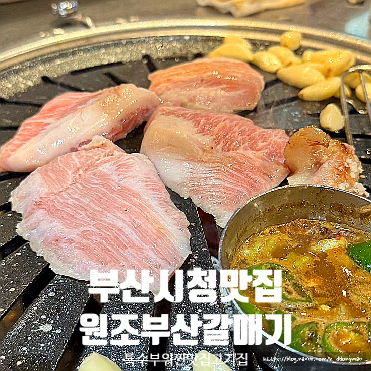  부산시청맛집 '원조부산갈매기' 특수부위 찐맛집 고기집 추천