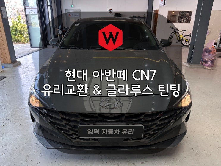  포항차유리 아반떼 CN7 유리교환과 글라루스 썬팅을 동시에 윌로우