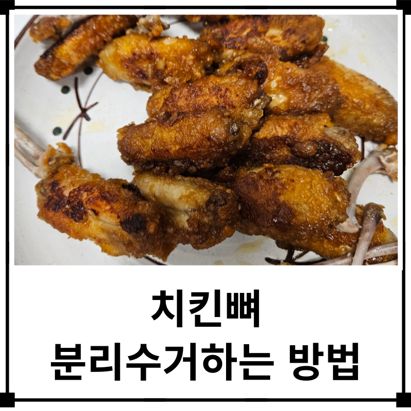 치킨뼈 분리수거는 어떻게 해야할까? 닭뼈는 음식물 쓰레기가 아닌 일반쓰레기