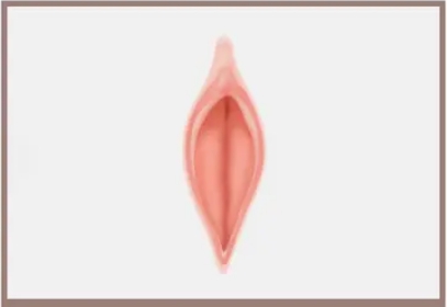  소음순 미백을 결심하는 여성들 이야기