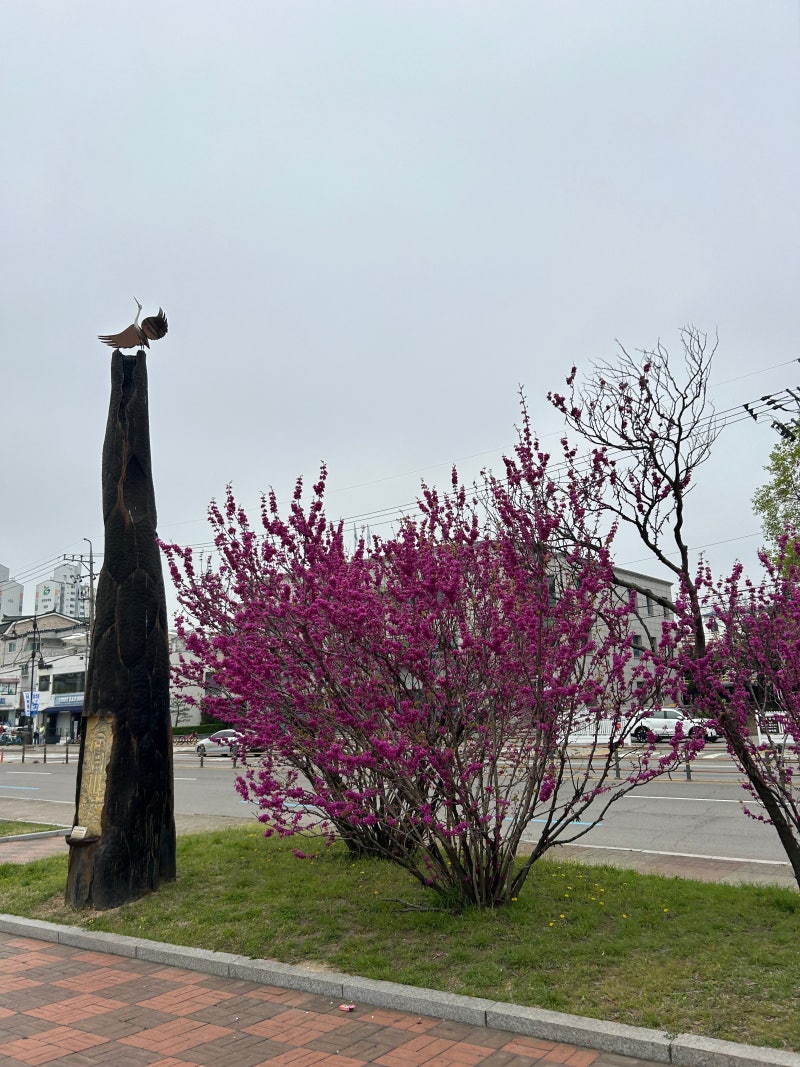 사진 6