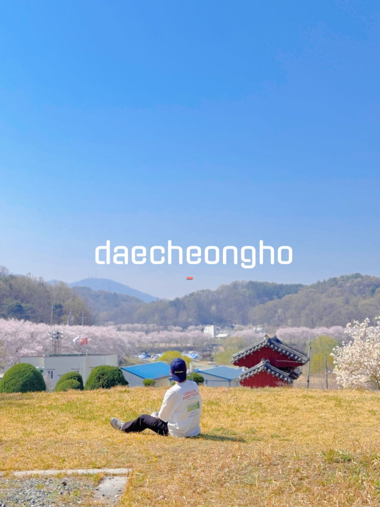  대청호 벚꽃길 대전 산책 코스 김정선생 묘소일원