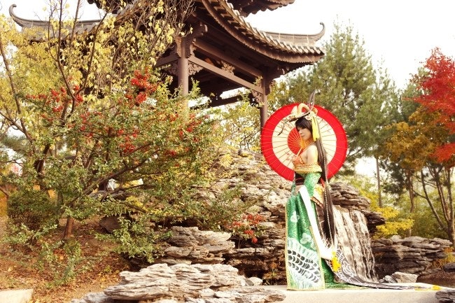  일본 전통 우산 / 종이 우산