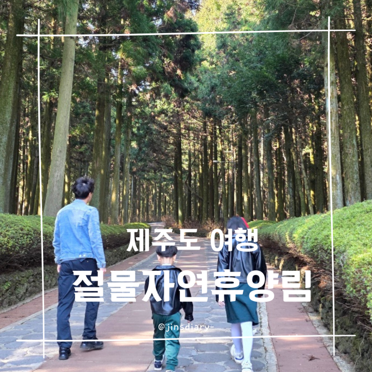  제주도 걷기 좋은 산책 코스 절물자연휴양림