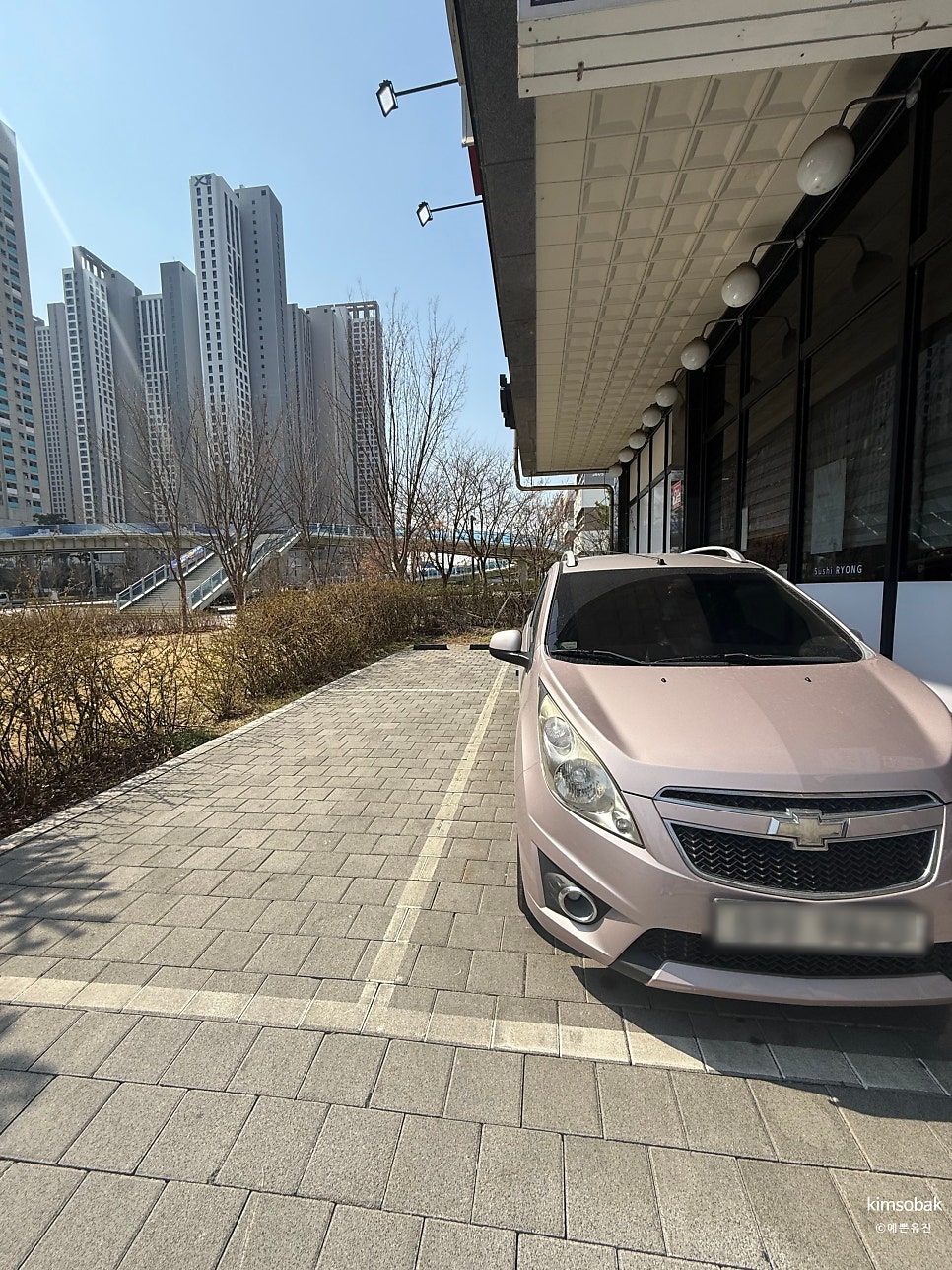 스시룡 사진 2
