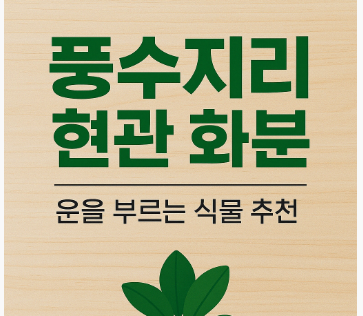  현관 앞 화분, 풍수 어디에 두는 게 좋을까?｜풍수지리 관점에서 본 배치 팁