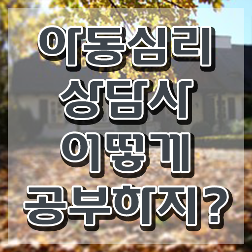 아동심리 바우처 , 자격증 온라인 교육으로 취득했던 후기 , 활용 방법