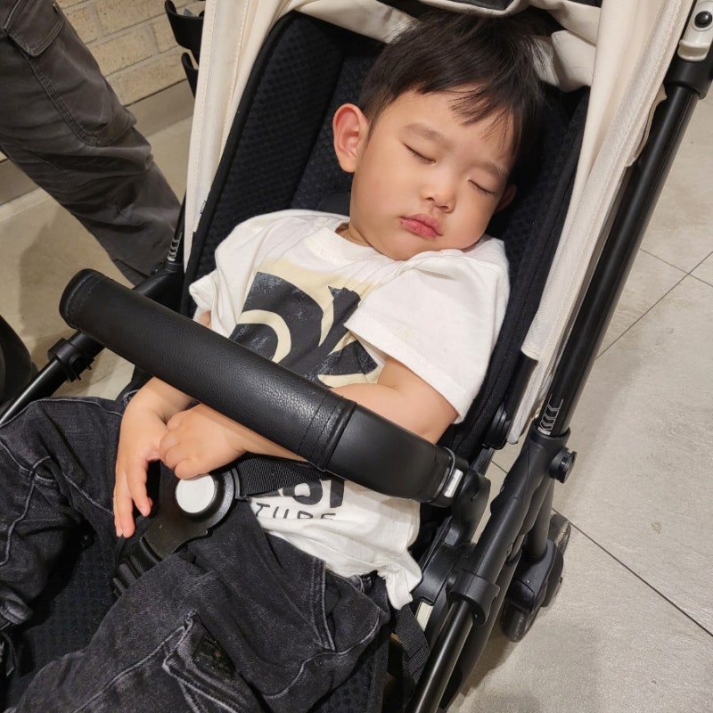 [내돈내산]부가부 비6 신생아부터 4살까지 사용후기