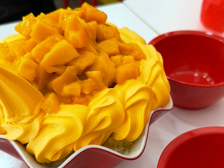  보홀 알로나비치 맛집 할로망고 메뉴 추천 할인 및 재방문 의사