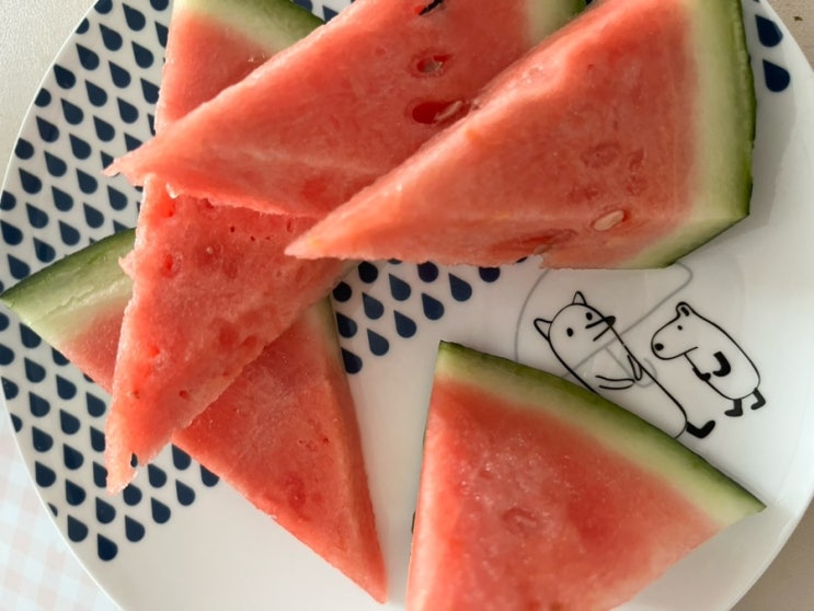  봄수박도 맛있구나 달빛여왕에서 택배수박 아이와 먹어본 후기
