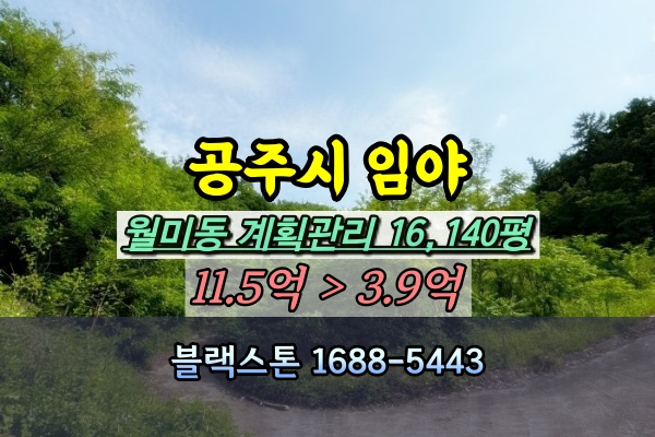  공주시 임야 경매 월미동 1만평대 4억 [2024타경20821]