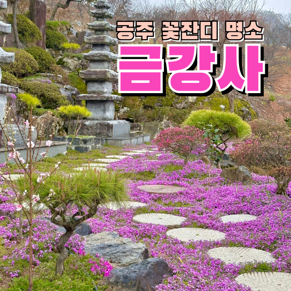  충남공주여행 꽃잔디명소 금강사 비오는 풍경도 멋진곳