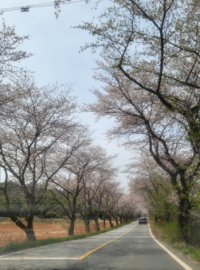사진 3