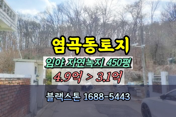  서초구 염곡동 토지 경매 임야 500평 [2024타경628]